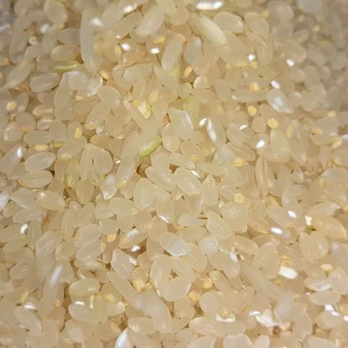 家用碾米机220v健康小型全自动打米机稻谷脱壳机鲜米农产品加工设备